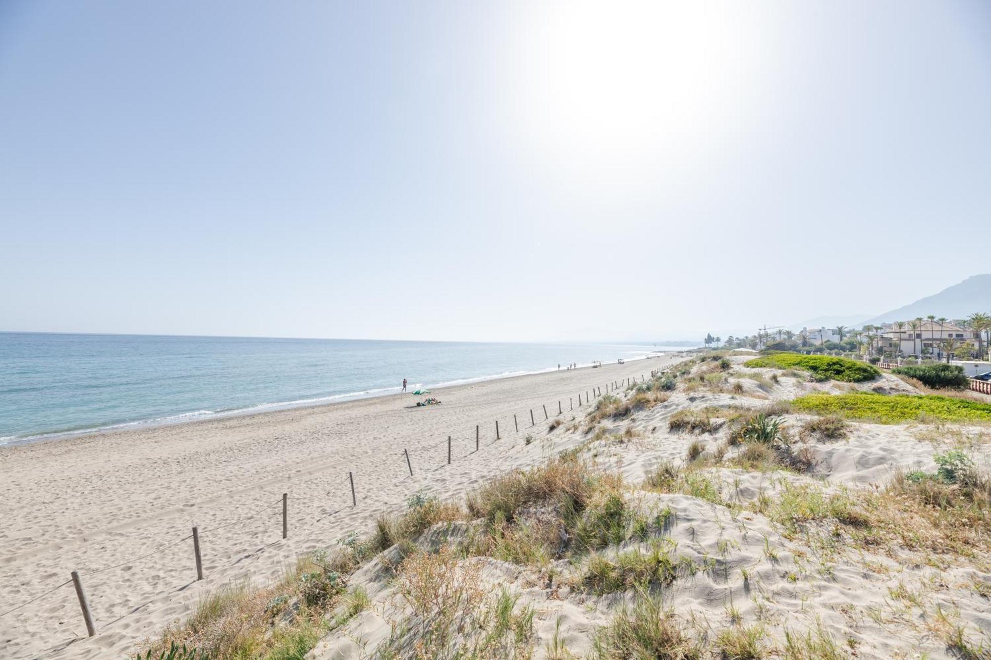 Apartamento Palm Beachfront